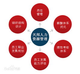 鄭州社保公積金代理、勞務(wù)派遣與人事外包服務(wù)全解析